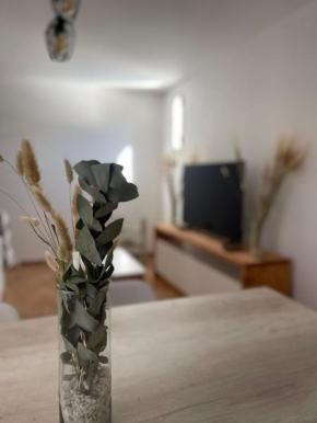 Nordik Apartments Mendoza